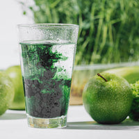 Nature's Sunshine Liquid Chlorophyll [VOL:473ML]