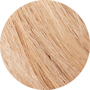 Tints of Nature 10XL Extra Light Blonde Permanent Hair Dye