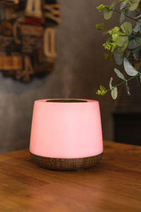 Lively Living Aroma-Home Diffuser