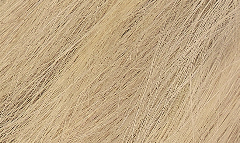 Naturtint 9N Honey Blonde