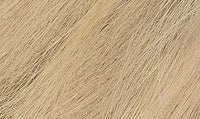 Naturtint 9N Honey Blonde