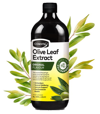 Comvita Olive Leaf Extract - Original Flavour [SZ:500ML]