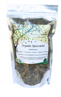 Healing Concepts Organic Spearmint Tea 40g