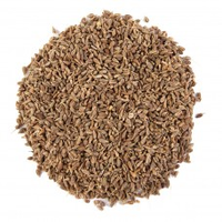 Healing Concepts Organic Aniseed 50g